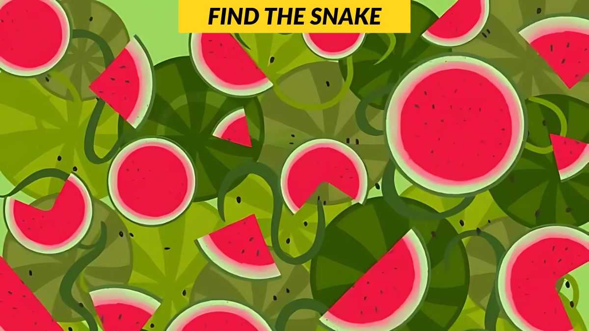 You have 20/20 vision if you can spot the hidden snake in 7 seconds!