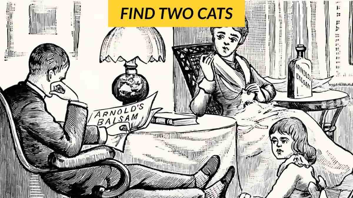 You have sniper eyes if you can spot two hidden cats in this vintage picture in 9 seconds!