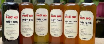 Mật ong nguyên chất siêu “thần dược” tại Tiệm Phố Núi