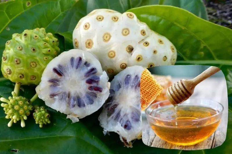 trái nhàu ngâm mật ong đơn giản nhất