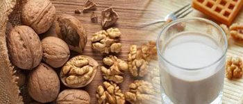 Tổng hợp 6 cách làm sữa óc chó thơm ngon, bổ dưỡng nên biết