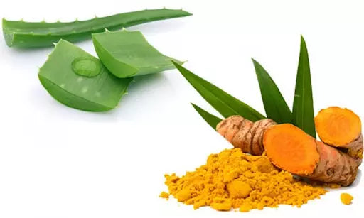 công thức làm đẹp bằng tinh bột nghệ nha đam