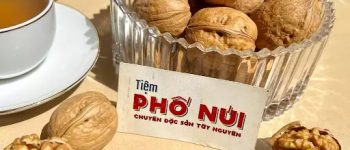 Hạt óc chó là gì? Phân loại, cách sử dụng và kinh nghiệm chọn mua