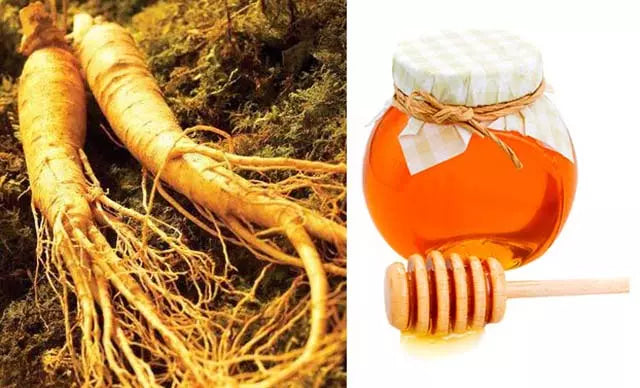 sâm đương quy ngâm mật ong