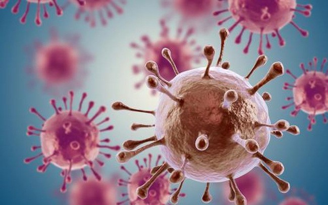 oc-cho-ngan-ngua-ung-thu