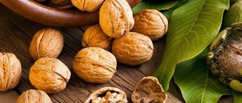 TOP 6 lợi ích siêu “thần kỳ” từ quả óc chó