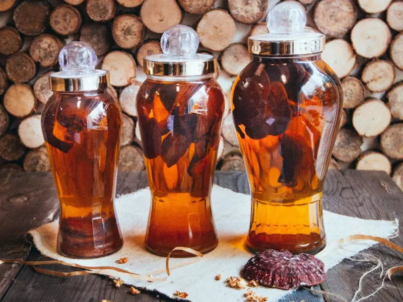 cách làm nấm linh chi ngâm mật ong đơn giản