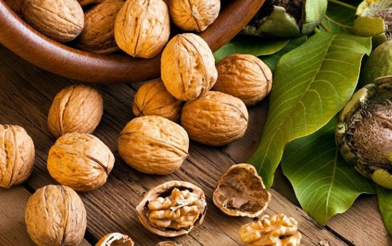 thoi-gian-thich-hop-su-dung-hat-oc-cho