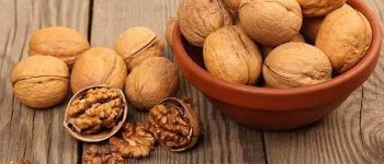 Tác dụng của hạt óc chó đối với sức khoẻ con người