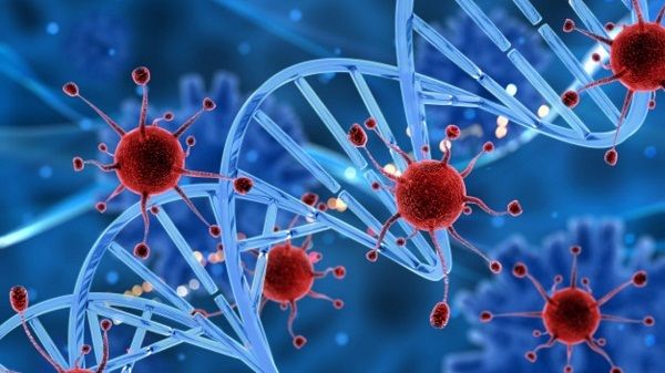 tinh-bot-nghe-ngan-ngua-ung-thu