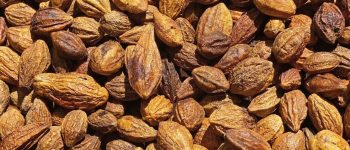 Quả kha tử ngâm mật ong có tác dụng gì đối với sức khỏe?