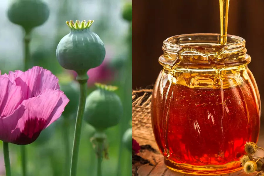 mật ong hoa anh túc