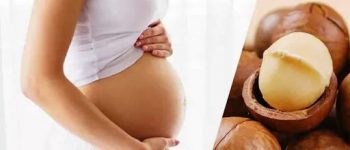 [Bật mí] Hạt macca có tác dụng gì cho bà bầu? Nên ăn thế nào?