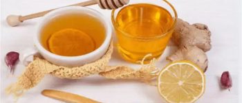 Tam thất mật ong – [Thần dược quý] cho sức khỏe