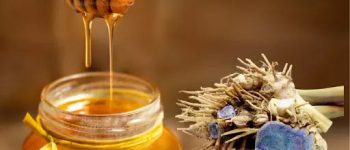 Nghệ đen mật ong và những tác dụng tuyệt vời [Nên Biết]