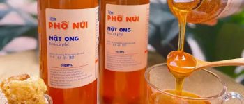 Mật ong hoa cà phê Đắk Lắk – Món quà quý giá cho sức khỏe