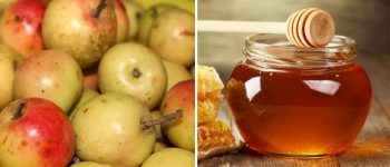 Táo mèo ngâm mật ong – Bài thuốc tốt cho sức khỏe bạn nên biết