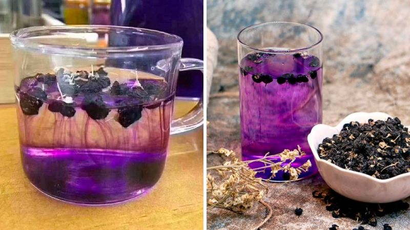 đối tượng không nên dùng hắc kỷ tử ngâm mật ong