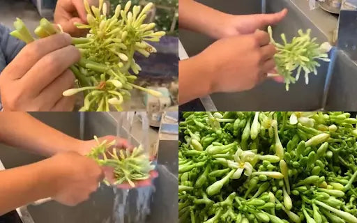 hoa đu đủ đực ngâm mật ong tốt cho sức khỏe