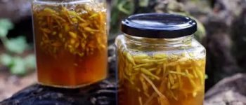 Mách bạn cách làm hoa đu đủ đực ngâm mật ong chữa bệnh