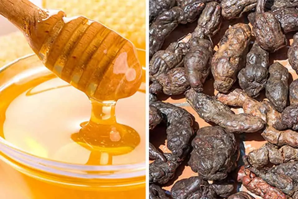 cách làm hà thủ ô mật ong