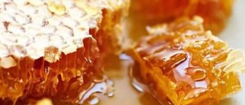 [Bí quyết] Làm sáp ong ngâm rượu bồi bổ cơ thể ngay tại nhà