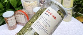 Hạt bí xanh và những công dụng tuyệt vời trong chăm sóc sức khỏe