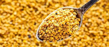 [Lưu ý] Uống phấn hoa trước khi ngủ liệu có tốt?