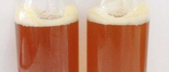 Mật ong bị sủi bọt? Cách xử lý mật ong bị sủi bọt [hay nhất]