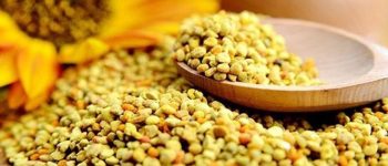 Phấn hoa mật ong – Tinh hoa của các loài hoa