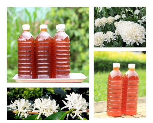 tác dụng của mật ong hoa cà phê