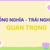 Từ đồng nghĩa và trái nghĩa với từ Quan Trọng