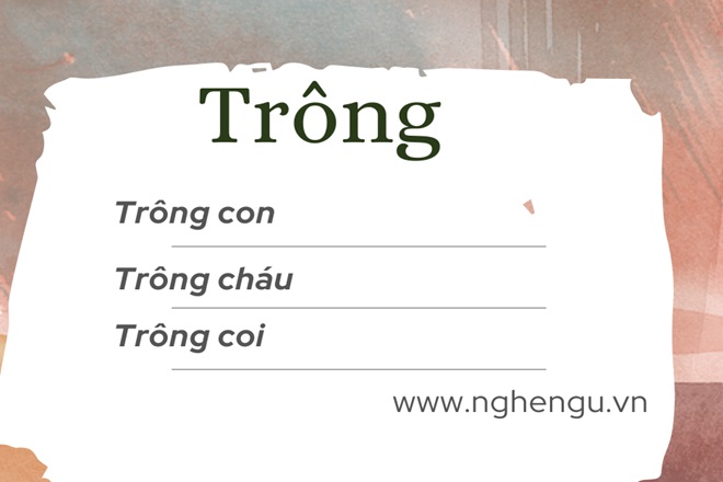 trong chau hay chong chau