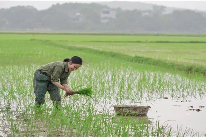 tự ái là gì từ điển