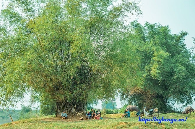 ngat ngat tieng nghe