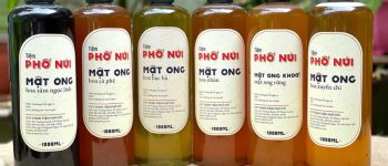 Top 8 loại mật ong chất lượng được ưa chuộng nhất hiện nay