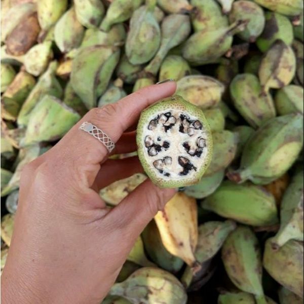 không uống mật ong với chuối hột