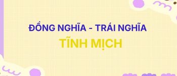 [A-Z] Từ đồng nghĩa và trái nghĩa với từ Tĩnh Mịch