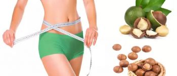 Ăn hạt macca có béo không? Ăn như thế nào hiệu quả nhất?