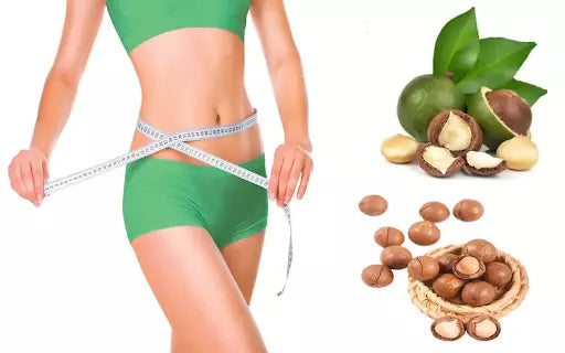 ăn hạt macca có bị béo không