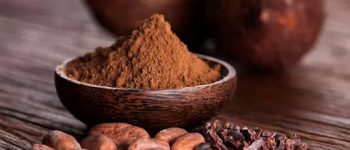 [Bật mí] 5 cách pha bột cacao tròn vị nhất, bạn không nên bỏ qua
