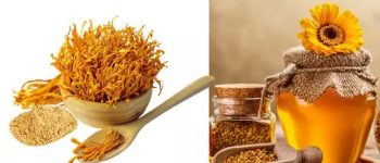 [Bật mí] Cách sử dụng mật ong đông trùng hạ thảo hiệu quả