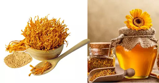 mật ong đông trùng hạ thảo có tác dụng gì