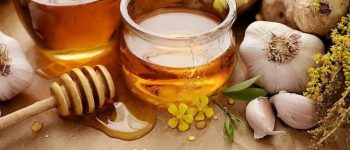 [Bật mí] Uống rượu tỏi mật ong có tác dụng gì với sức khỏe?