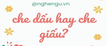 Che dấu hay che giấu? Cất dấu hay cất giấu? Giấu đi hay dấu đi?