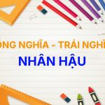 Từ đồng nghĩa và trái nghĩa với từ Nhân Hậu