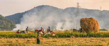 Có lẹ chưa chộ là gì trong tiếng Nghệ?