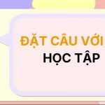 Đặt câu với từ HỌC TẬP
