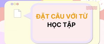 Đặt câu với từ Học Tập 📚 30+ Câu Hay Nhất
