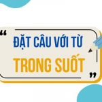 Đặt câu với từ TRONG SUỐT